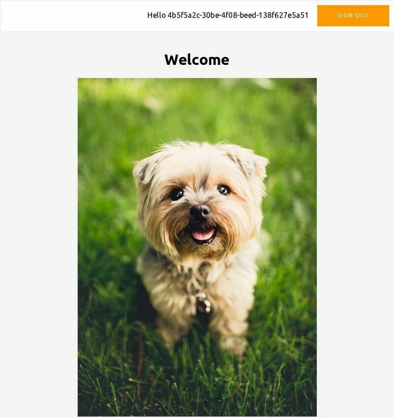 dog